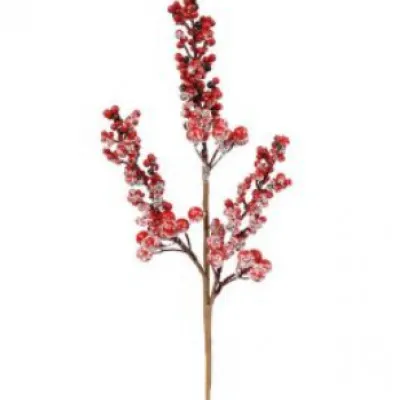 ΚΛΑΡΑ ΜΕ BERRY XIONE 70CM