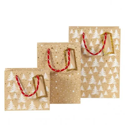 ARTEBENE  GIFT BAGS - 3 ΤΕΜΑΧΙΑ