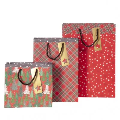 ARTEBENE GIFT BAGS - 3 ΤΕΜΑΧΙΑ