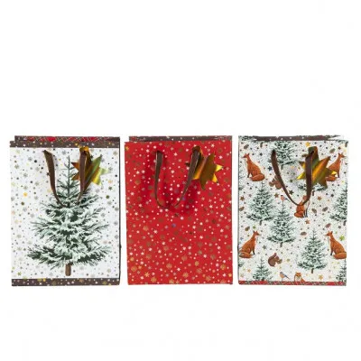 ARTEBENE GIFT BAGS - 3 ΤΕΜΑΧΙΑ