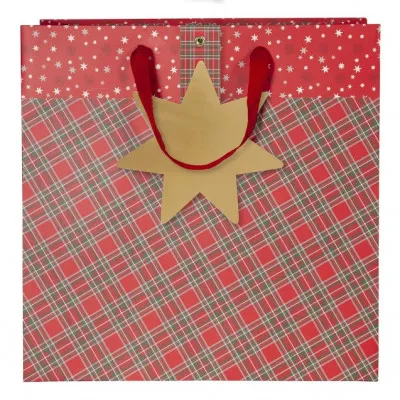 ARTEBENE  GIFT BAG/38X38X21.5CM