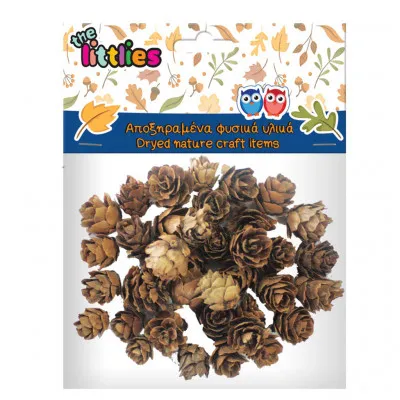ΑΠΟΞΗΡΑΜΕΝΑ ΚΟΥΚΟΥΝΑΡΙΑ ΜΙΚΡΑ 20gr THE LITTLIES