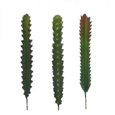 ΚΛΑΔΙ ΚΑΚΤΟΥ ΣΕ 3 ΣΧΕΔΙΑ.,31cm