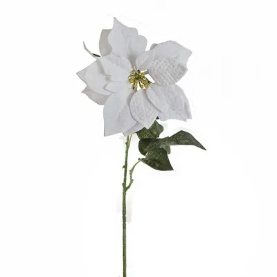 AX664 Αλεξανδρινό λουλούδι με πάγο, λευκό 71cm