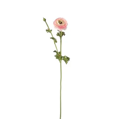 ΝΕΡΑΓΚΟΥΛΑ ΡΟΖ 73CM