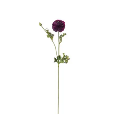 ΝΕΡΑΓΚΟΥΛΑ ΜΠΟΡΝΤΟ 73CM