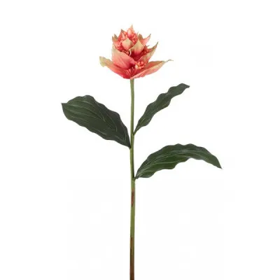 ΜΕΝΤΙΝΙΛΑ 86CM