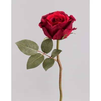 ΤΡΙΑΝΤΑΦΥΛΛΟ ΚΟΚΚΙΝΟ Σ/12 33CM