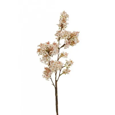 VIBURNUM WHITE 68CM