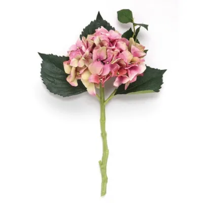 ΟΡΤΑΝΣΙΑ pink/green σ/12