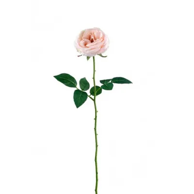 ΤΡΙΑΝΤΑΦΥΛΛΟ 66CM