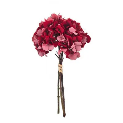 ΟΡΤΑΝΣΙΑ 37 CM RED