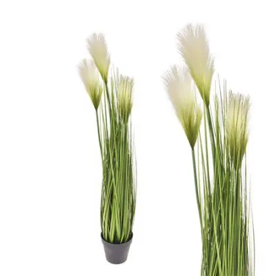 Monkey grass x 3 σε κασπώ,85cm