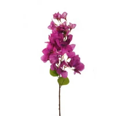 ΒΟΚΑΜΒΙΛΛΙΑ ΚΛΑΔΙ 80 CM PURPLE