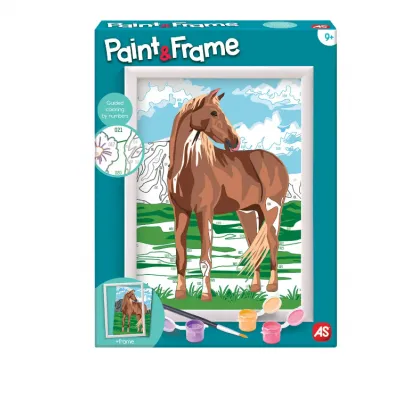 Paint & Frame Wild Horse
