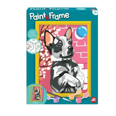 Pain & Frame Playful Husky