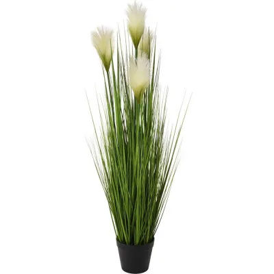 ΦΥΤΟ ΣΕ ΓΛΑΣΤΡΑ ΠΛΑΣΤΙΚΗ 104CM
